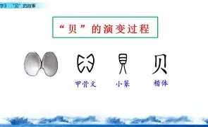 Kaiyun在线登录-贝林厄姆身体数据